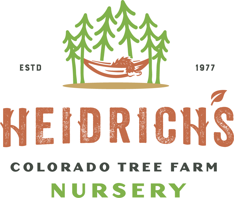 Heidrich's Colorado Tree Farm Nursery