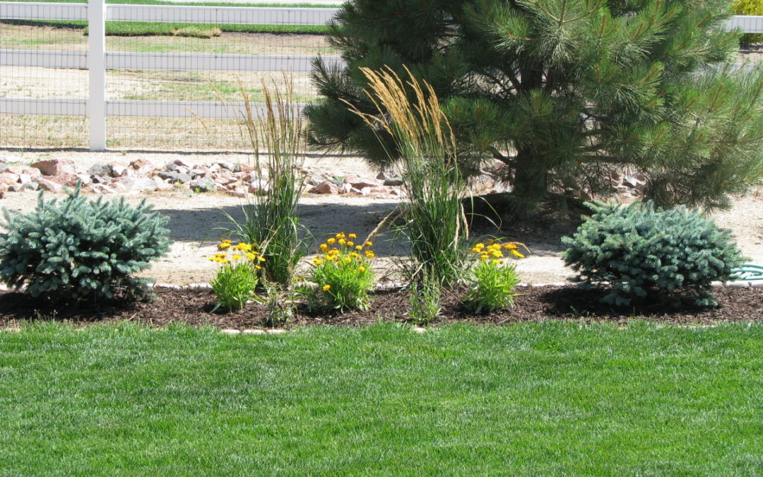 THE MARCELLA HOME, FALCON COLORADO