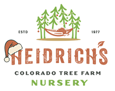 Heidrich's Colorado Tree Farm Nursery